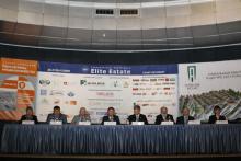 ������� ������������ ����������� � ������������� ��������